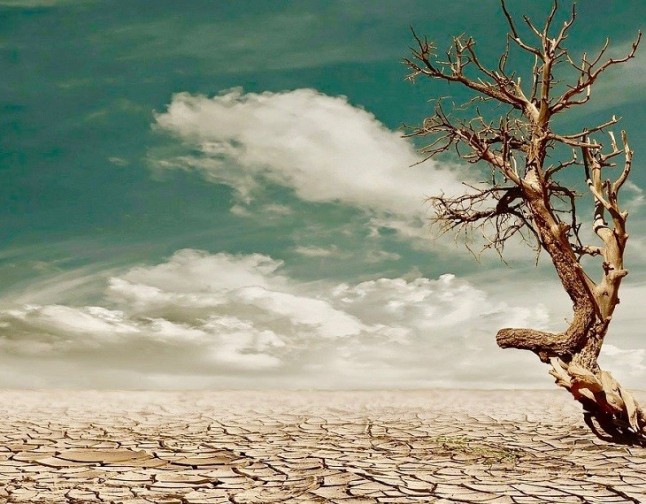 Sinfonía para el Cambio: activismo frente al cambio climático