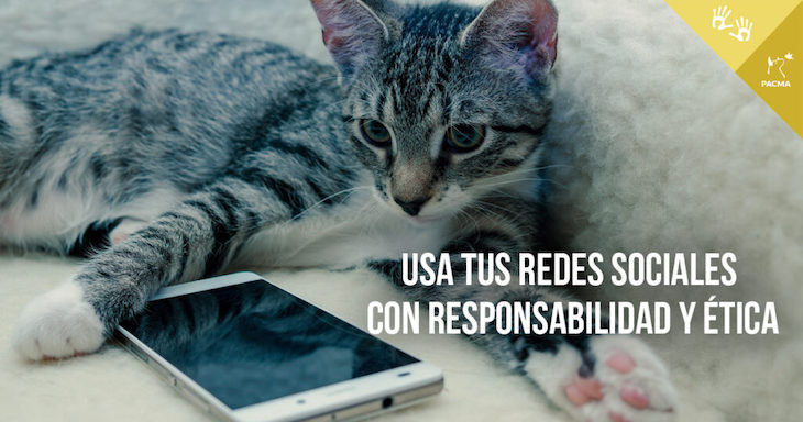 La redes sociales no ayudan en nada con selfies con animales