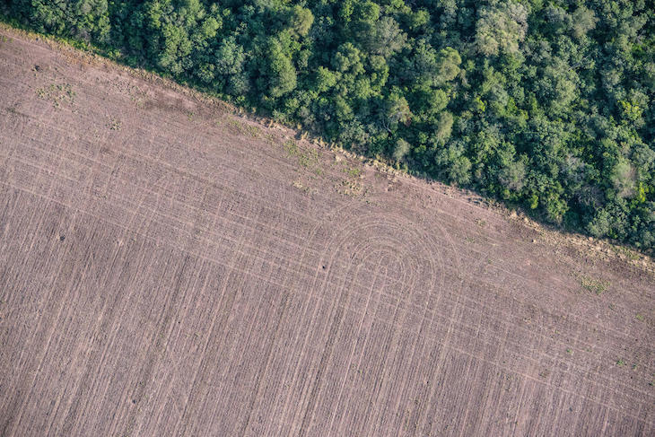 Ganadería industrial: ‘pandemias’