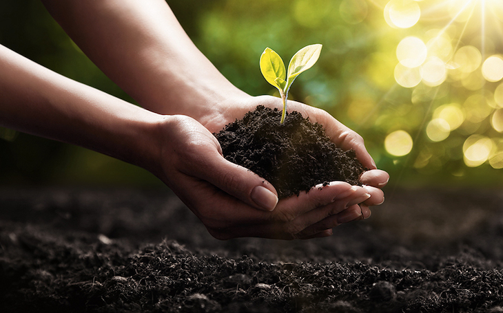 El ‘Pacto Verde Europeo’ esencial en la recuperación económica ante el COVID-19