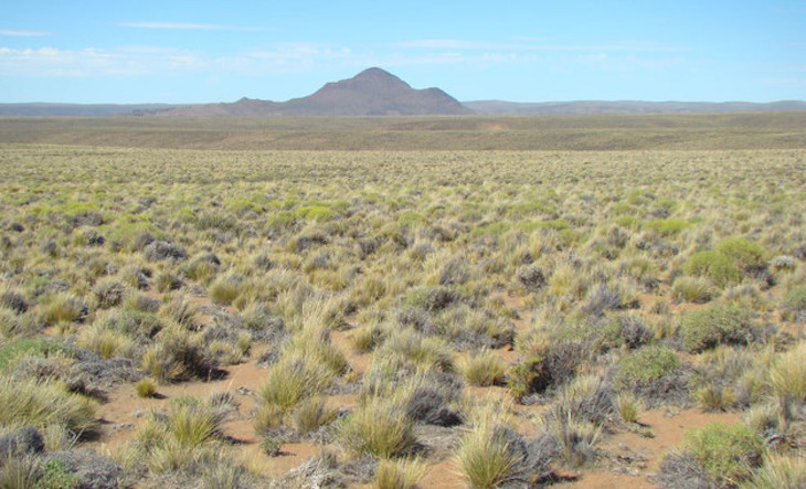 El cambio climático provocará cambios brutales en los ecosistemas áridos