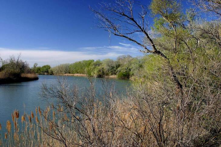 Borrador del Plan Rector de Uso y Gestión de la Reserva Natural Dirigida de los Sotos y Galachos del Ebro