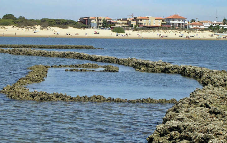 Apoyando la protección de los corrales de Rota (Cádiz)