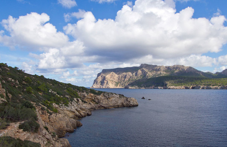 Investigadores de Baleares conmemoran el 25 aniversario del programa MEDITS sobre ecosistemas del Mediterráneo