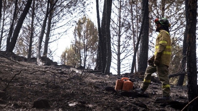 2018 es el mejor año del siglo en materia de incendios
