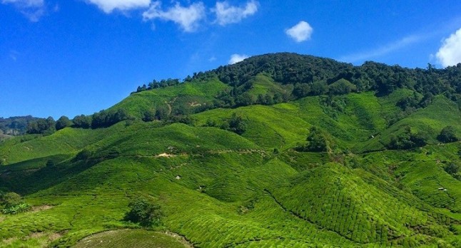 Cantabria declara siete Zonas de Especial Conservación de Montaña