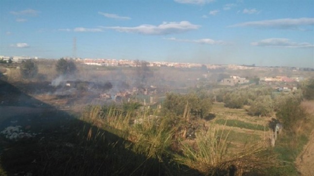 Extinguido el incendio forestal en el Parc del Túria de Manises