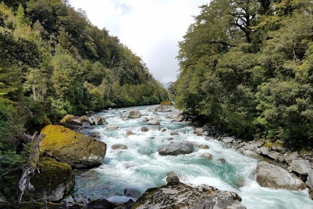 Torrelavega recupera las riberas fluviales… de nuevo