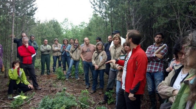 Proyecto Forest LidaRioja