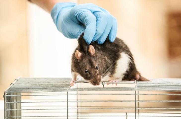 China abre sus puertas a las marcas de cosméticos no testadas en animales