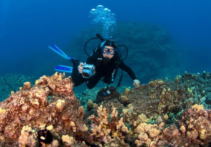 Los centinelas submarinos para detectar especies exóticas