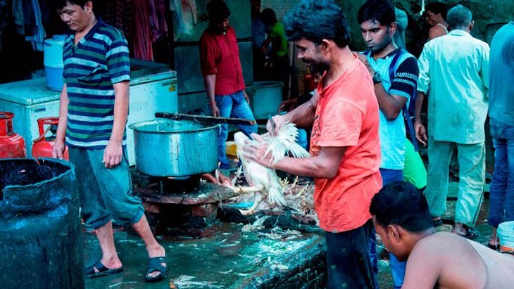 ‘Arde Troya’ en Twitter exigiendo el FIN de los mercados húmedos de animales
