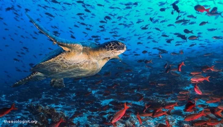 Biodiversidad o crecimiento económico dónde está el punto de equilibrio