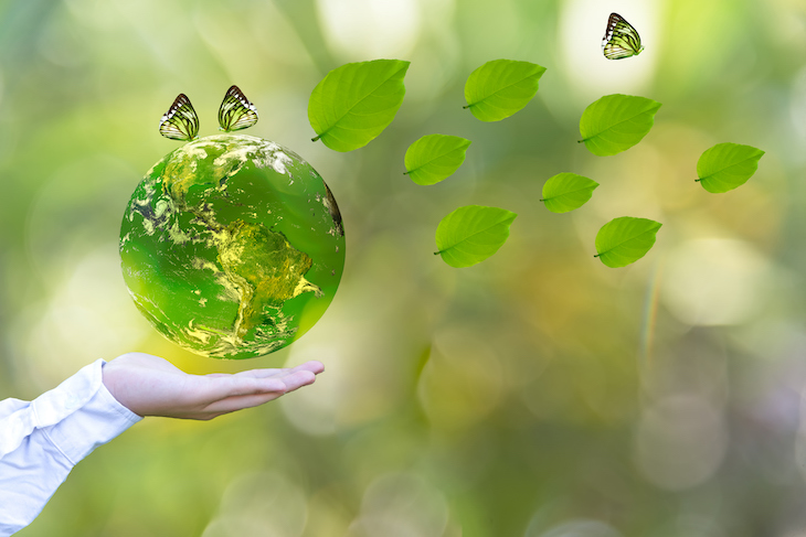 España el ‘espeso’ Plan Estratégico para la Diversidad Biológica 2011-2020