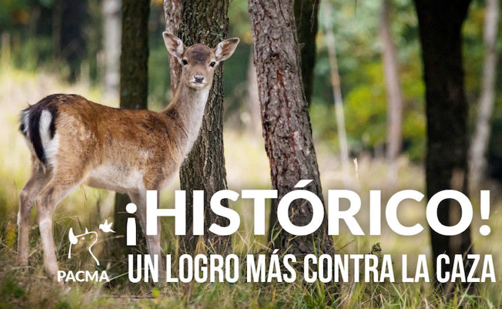 Good News. La ley de caza de Castilla y León ante el ‘Constitucional’