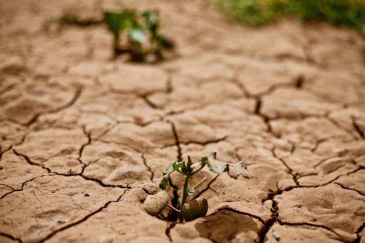Barcelona crea una Oficina de Sostenibilidad para combatir el calentamiento global