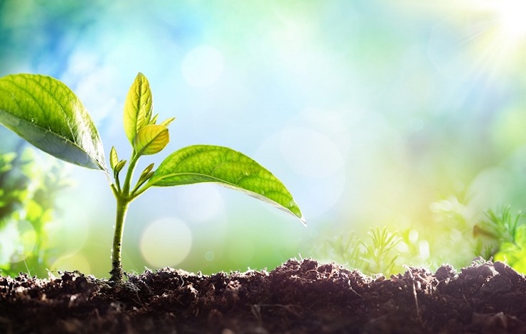 Medio millón de empleos perdidos por el COVID-19 se pueden recuperar con políticas ecológicas