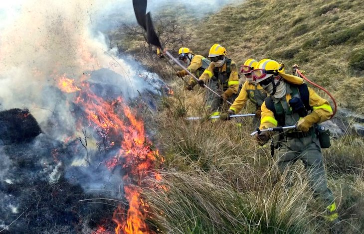 Galicia otorgará ayudas para la prevención de los daños causados por incendios