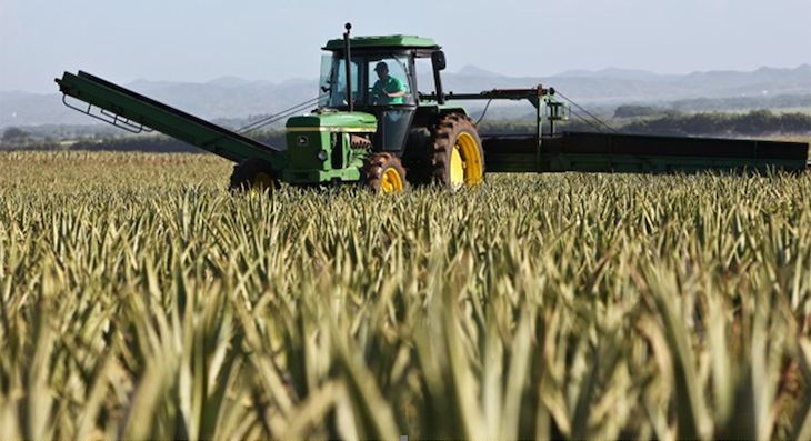 Las cooperativas AMERICANAS tienen un papel central para la sostenibilidad de los sistemas alimentarios