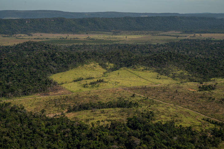 365 días desde el gran fuego que asoló la Amazonía