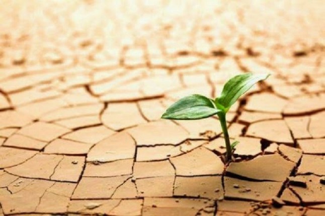 Jóvenes emprendedores asturianos buscarán soluciones al cambio climático