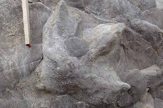 Las tormentas revelan un tesoro de huellas de dinosaurio en Inglaterra