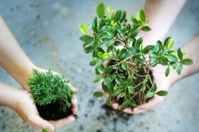 Castilla y León crea el sello ambiental Centro Educativo Sostenible para aquellos comprometidos con la sostenibilidad