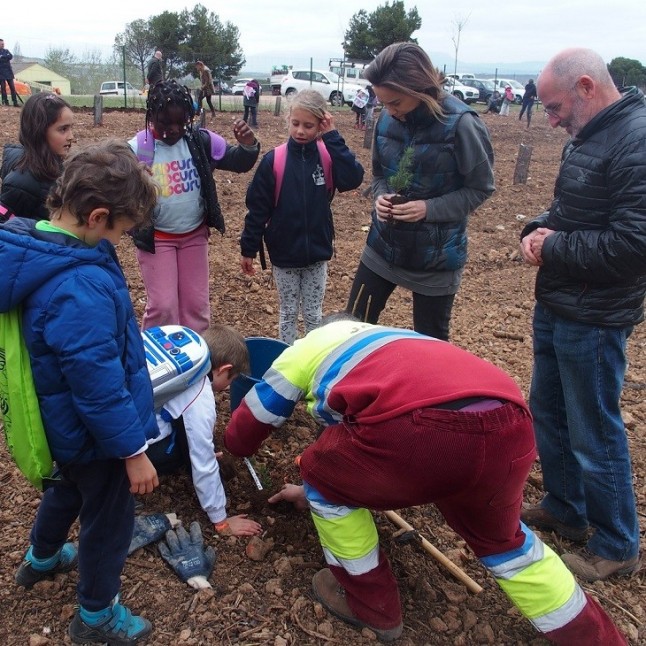 Plantación de árboles en el parque de La Grajera