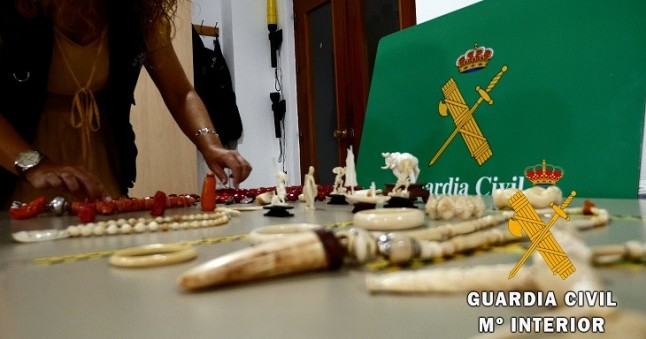 Investigada una persona en Almería que pretendía vender piezas de marfil y coral rojo de especies protegidas