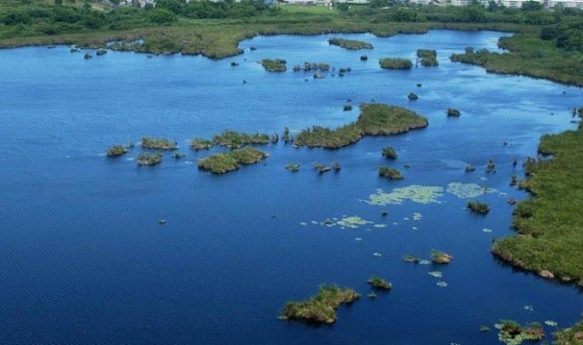 Llamada a los cántabros a colaborar en la conservación de los humedales