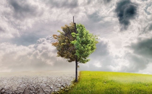 NESI Global Forum muestra las soluciones de la nueva economía para frenar el cambio climático