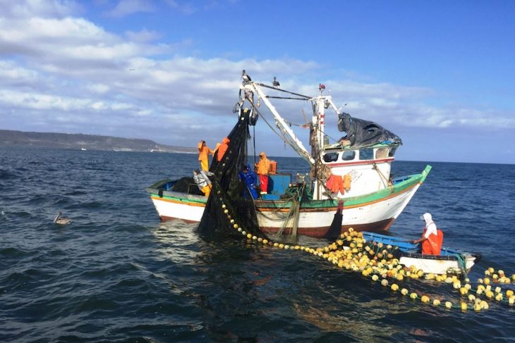 STOP a los subsidios que mantienen la sobrepesca