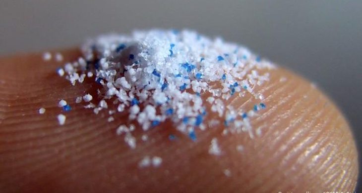 Microplásticos en las doradas en cautividad