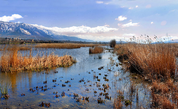 Ante la crisis climática hay que recuperar los humedales de la Bahía de Algeciras