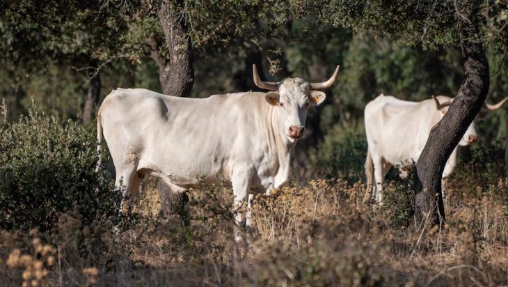 Día Internacional de la Conservación del Suelo 2021
