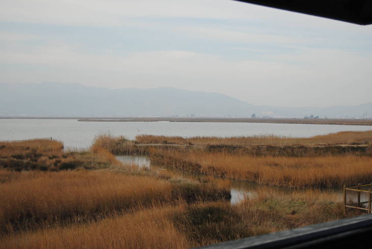 El ‘negro’ futuro del Delta del Llobregat
