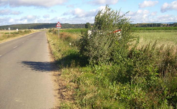 Por qué extraña razón el Ayuntamiento de León sigue fumigando con glifosato