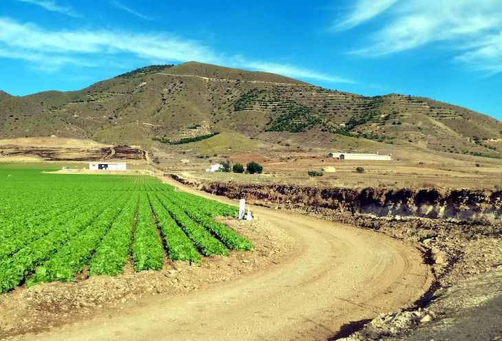 ‘Sierra de En medio’ es uno de los enclaves geológicos más singulares del levante y lo están desmontando
