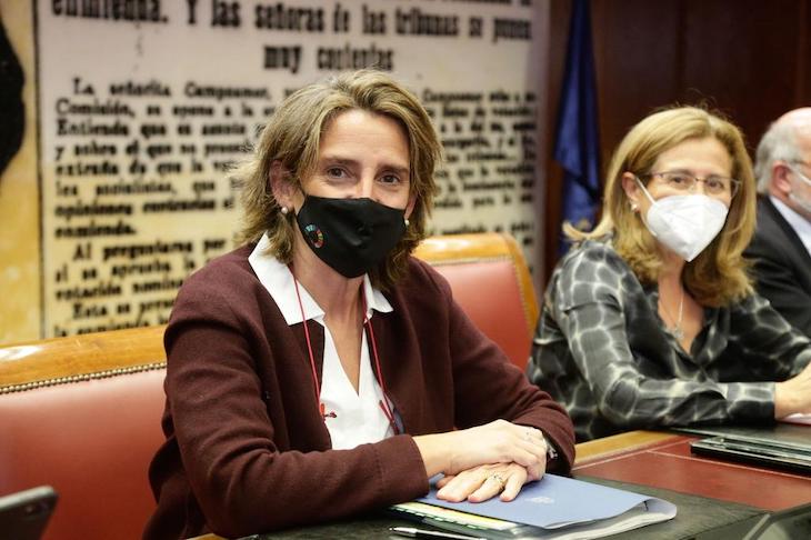 Plan de Recuperación