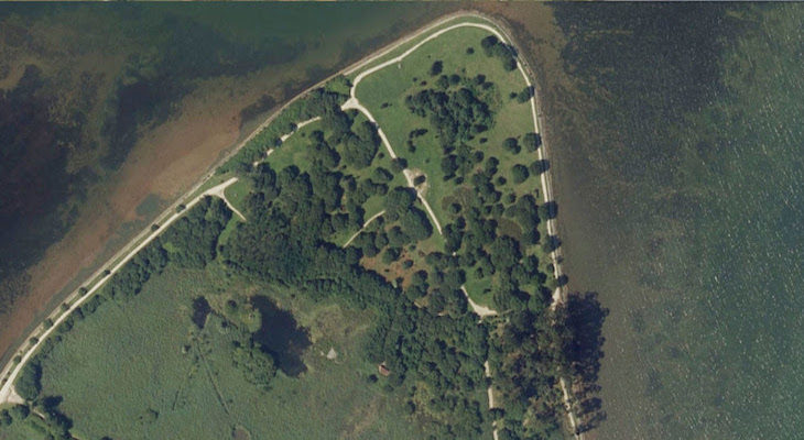 Propuestas de SEO/BirdLife en el Día Mundial del Medio Ambiente 2021