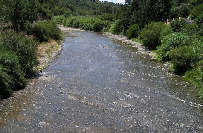 Restaurar la vegetación de la orilla puede mejorar la salud medioambiental de ríos degradados