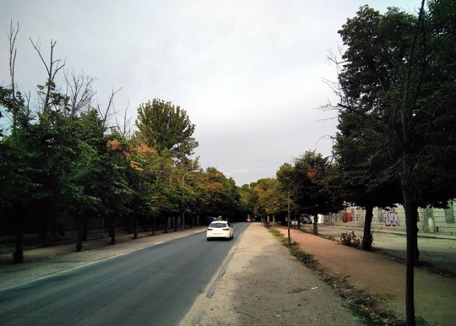 ADIF abandona su patrimonio natural en Aranjuez