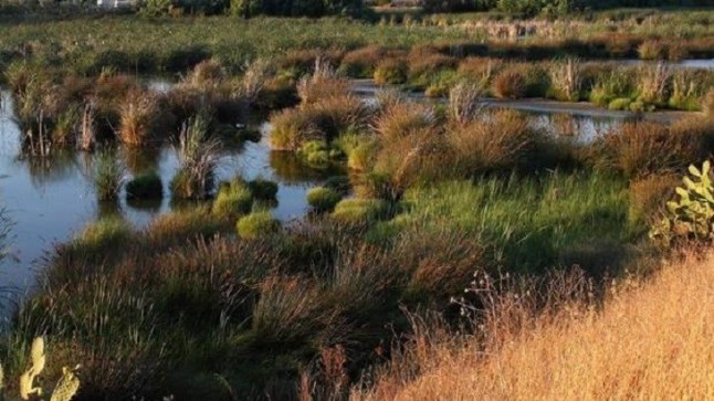 El humedal palaciego de El Pantano logra la declaración de Reserva Ecológica