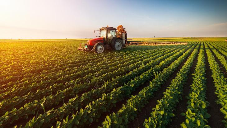 El calentamiento global afectara muy negativamente a la producción de alimentos