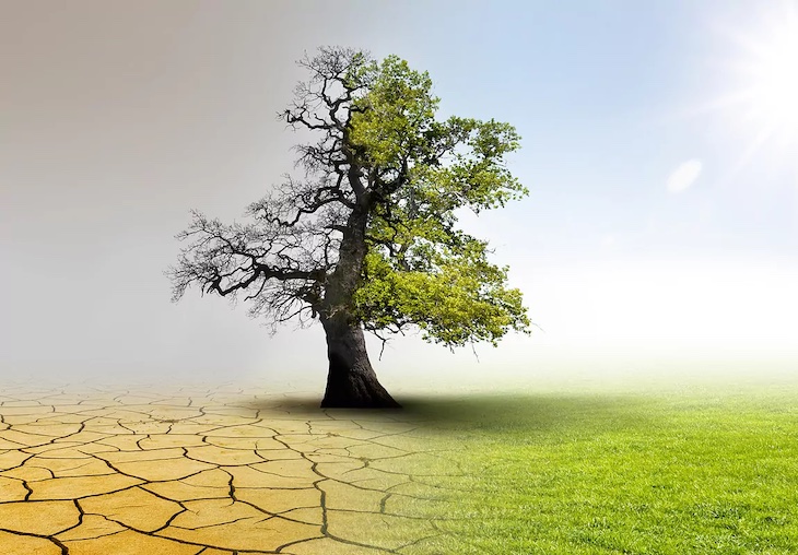 Pasito a pasito hacia el año 2050 con ‘La Ley de Cambio Climático y Transición Energética’