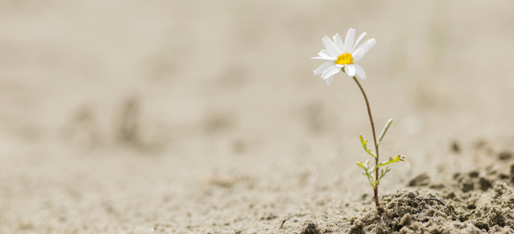 Día Mundial de Lucha contra la Desertificación y la Sequía 2021