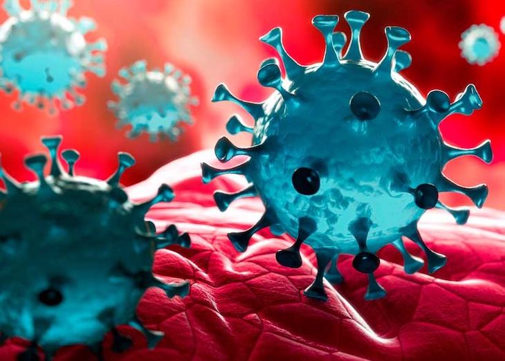 El COVID-19 afianza entre los jóvenes su lucha por el medioambiente