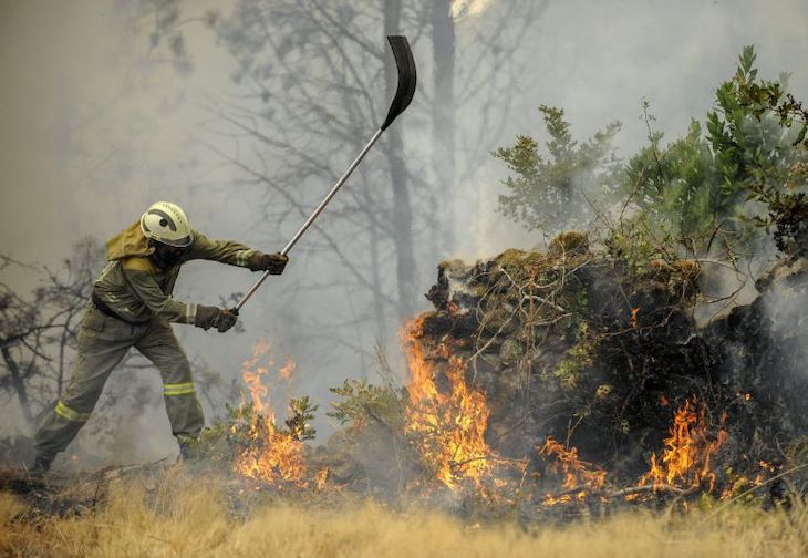 El Gobierno aborda con las CCAA el despliegue de los medios del dispositivo de extinción de incendios forestales