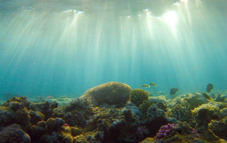 Fundación Aquae con la Biodiversidad