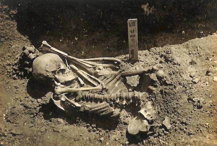 El tiburón que se comió a un hombre hace 3.000 años